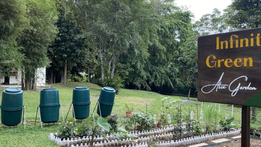 Healing patients and the environment: How two Singapore hospitals are going green Healing patients and the environment: How two Singapore hospitals are going green