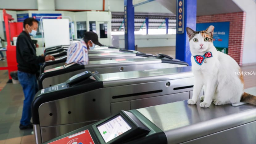 Gambar Pilihan Hari Ini