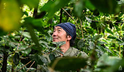 Hot demand, shrinking harvests: Thai coffee faces boom and doom paradox