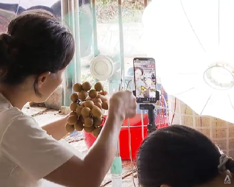 As typhoon risks grow, farmers in China’s Guangdong adapt to protect their livelihoods As typhoon risks grow, farmers in China’s Guangdong adapt to protect their livelihoods