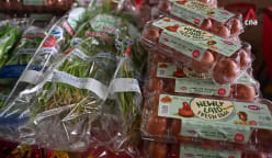 How hard is it to find and eat local produce in Singapore? We tried it for a week | Video