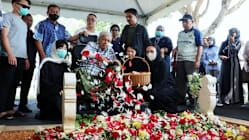 Related article image