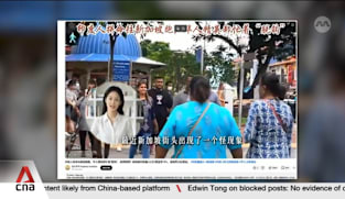 Singapore blocks access to posts targeting Indian community, racial harmony 
