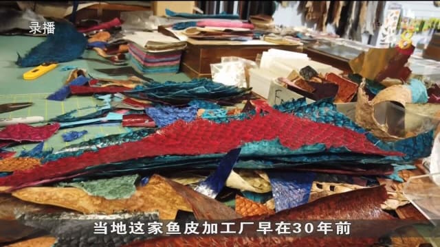 西澳公司将鱼皮制成时装用品 为可持续发展尽力
