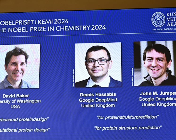 Commentary: Nobel prizes give Google the glow it craves