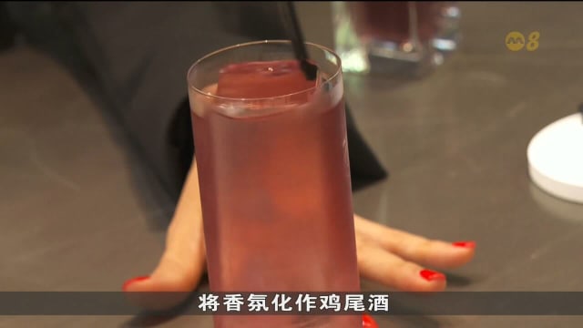 樟宜机场第五搭客大厦动土 东区将成中转客新热点