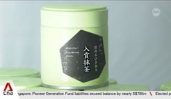 Japan's matcha boom: Soaring demand creates new challenges for tea growers 