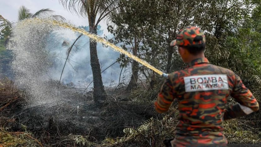 Bomba Pahang catat 87 kes kebakaran terbuka dalam tempoh seminggu
