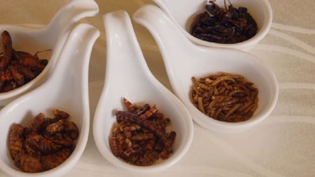 晨光|潮流解码：吃虫热兴起？食用昆虫将成餐桌佳肴
