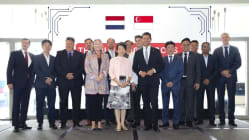 Related article image