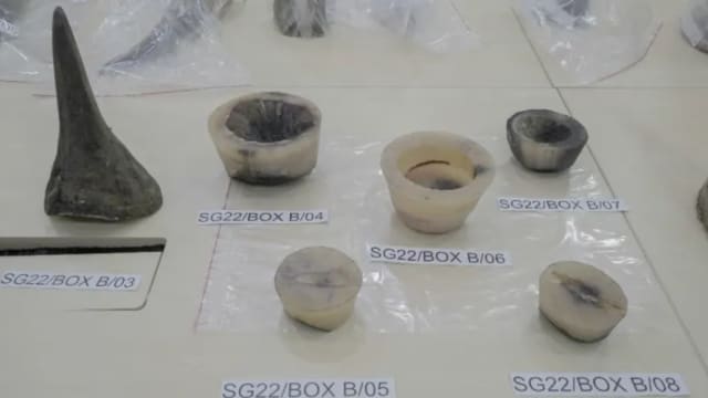 涉走私犀牛角进我国 南非籍男子今被控