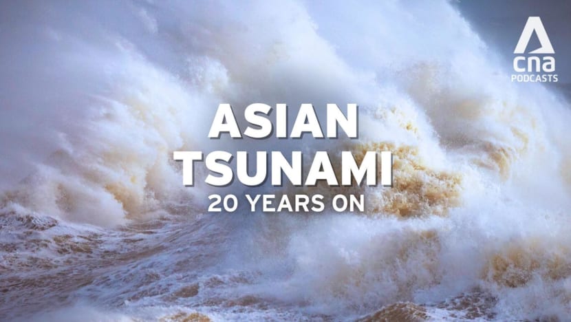 CNA Special - The Waves That Changed Us: Asian tsunami 20 years on (Part 1) CNA Special - The Waves That Changed Us: Asian tsunami 20 years on (Part 1)