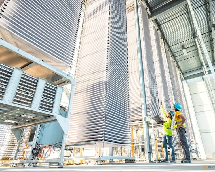 Big Tech-led demand for carbon removal credits fuels supply crunch