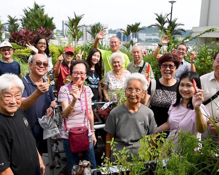 The retiree behind the roof garden that brought back a kampung spirit