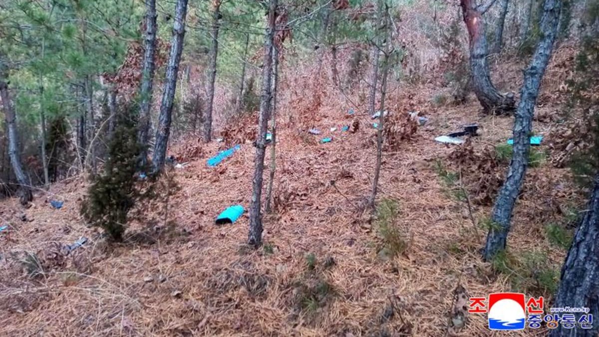 South Korea vows legal action over drone incursion into North