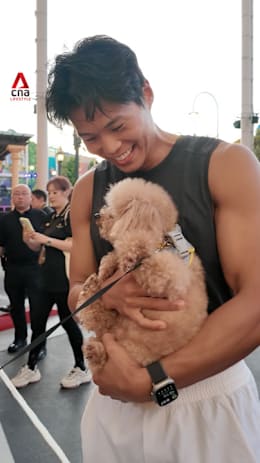 Physical: Asia star Amotti at USS for a charity dog walk
