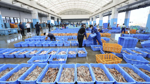 福岛核处理水排海计划启动满一个月 日本水产业或被迫停工