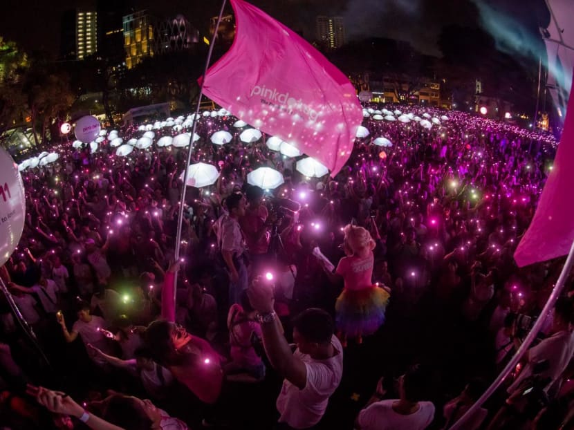 377A: Religious groups support Government; Pink Dot says Shanmugam's comments 'step in right direction'