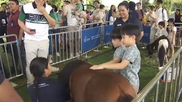 大年初六总统府开放日 公众与马儿近距离接触