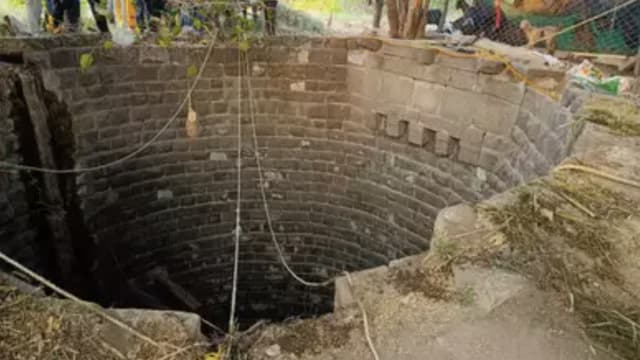 为救猫而入废井 印度一家五口丧命