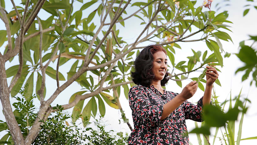 The Big Read: Behold, the rise of Singapore’s eco-warriors and foot soldiers