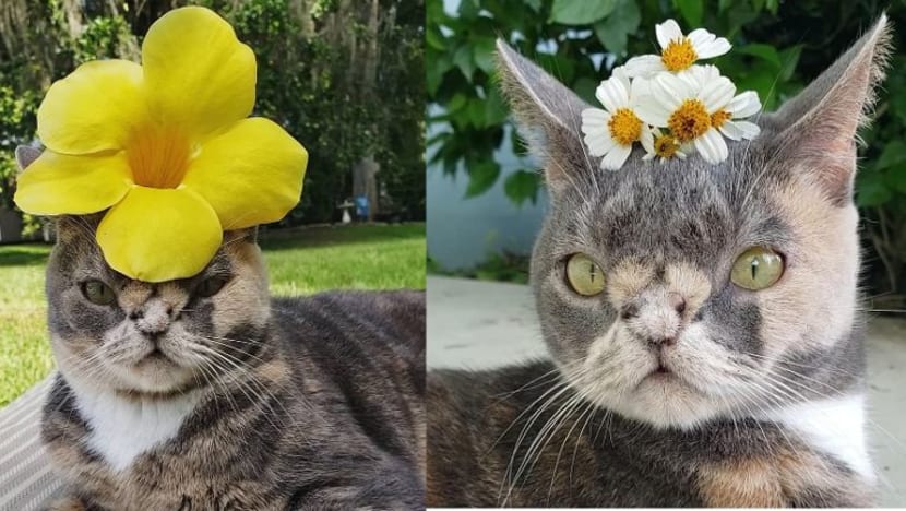 Gambar Pilihan Hari Ini Gambar Pilihan Hari Ini