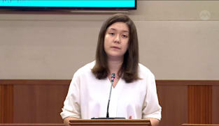 Lee Hui Ying on Veterinary Practice Bill