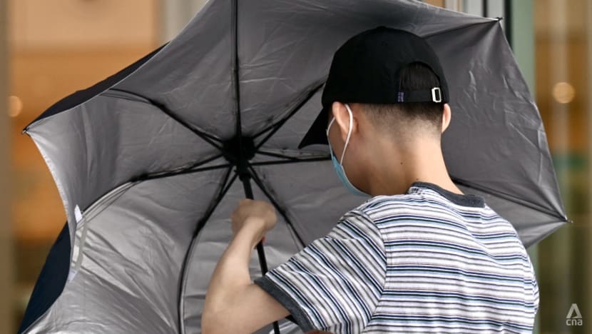 Man jailed for sharing anti-Islam videos on Facebook while posing as someone he disliked
