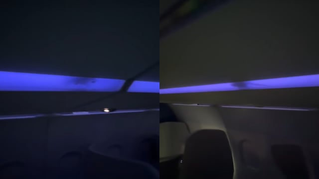 老鼠在机舱顶部灯槽里乱窜 捷蓝航空致歉调查
