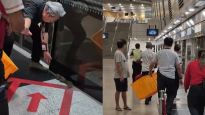  Squirrel At Bishan MRT Station Triggers Chase By Staff Armed With Box & Coats