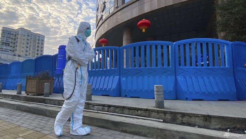 China calls COVID-19 'lab leak' theory a lie after WHO report