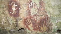 Related article image