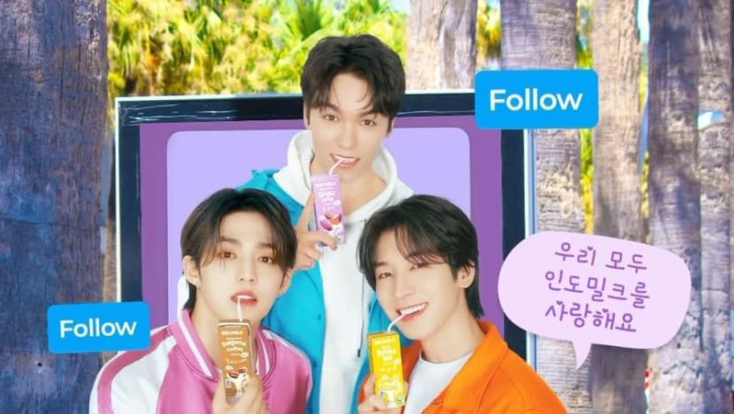 Detail Meet and Greet SEVENTEEN, Wave Here On 17 December, di Ancol