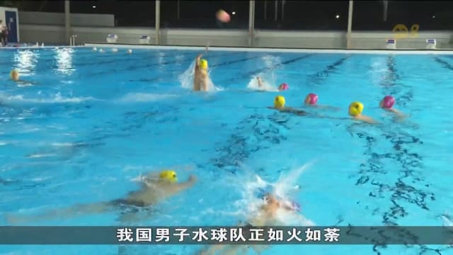 我国水球男队崭新面貌出征东运会 15名选手中有11人首次参赛