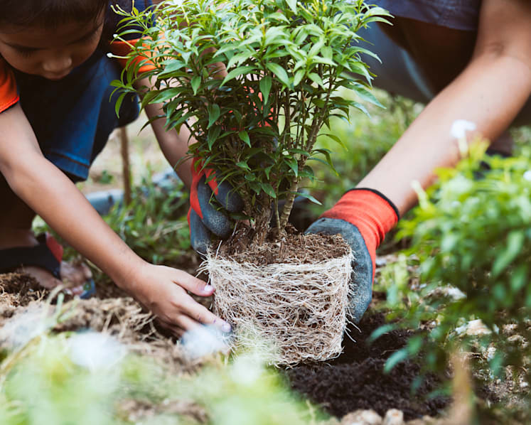 Commentary: Teaching children to care about the environment starts at home