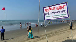 Related article image