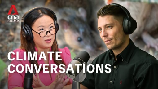 Climate Conversations - Urban invaders - how global warming fuels the rat boom