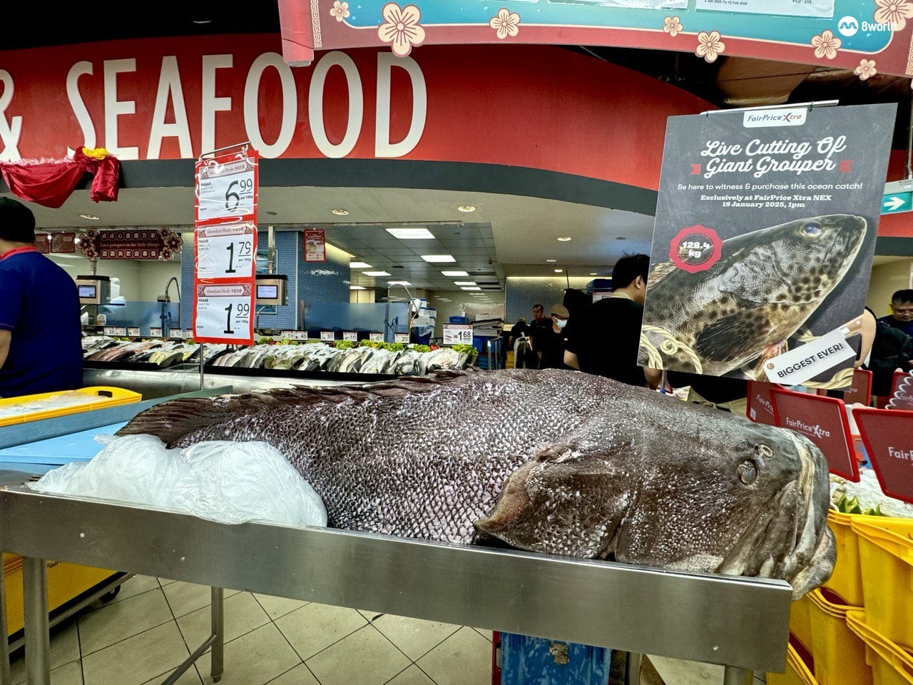 128公斤龙趸鱼超市现宰现卖公众围观拍照拍视频- 8world