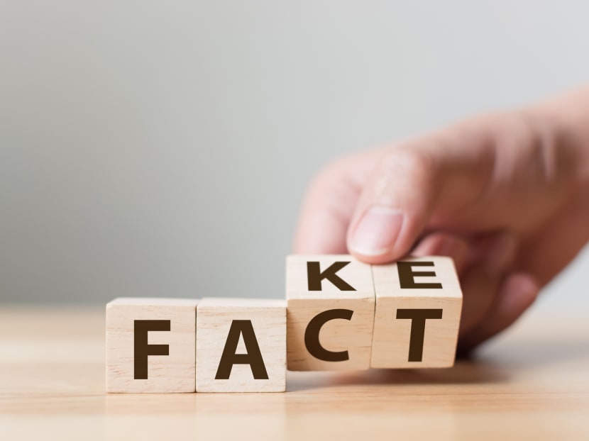 The process by which individuals can appeal against government directions against falsehoods, under proposed new laws against fake news, is “the most cost-effective way”, the Ministry of Law (MinLaw) said, adding that details of this process, including the timeline involved, will be outlined “in due course”.