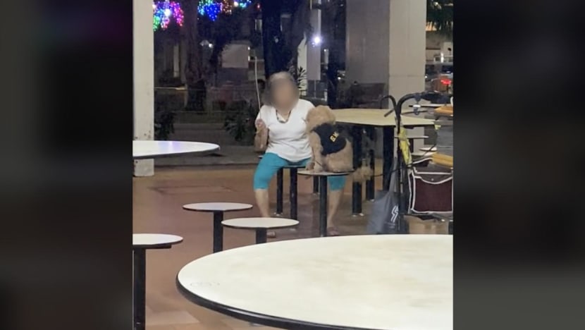 AVS looking into video of elderly woman allegedly caning dog at hawker centre, SPCA says she had been warned before
