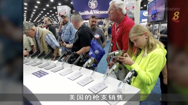 美众议院对枪械公司展开听证会 两公司营业额过去三年增两倍