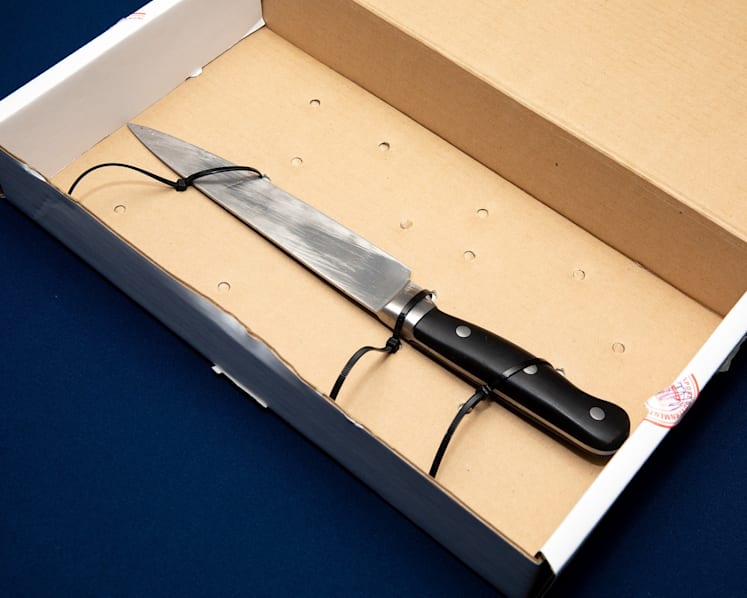 Number of knife-related crimes over last 5 years remained 'relatively constant', a third occurred in residential areas: Desmond Tan