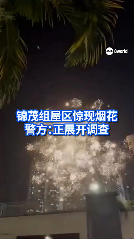 锦茂组屋区惊现烟花 警方正展开调查