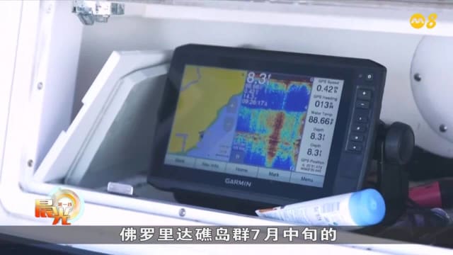 晨光|着眼天下： 气候升温冲击 珊瑚礁白化加速