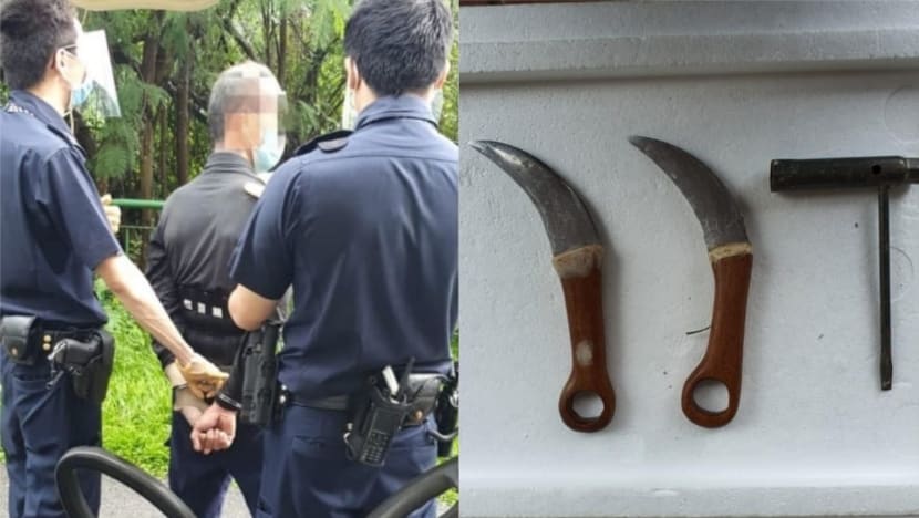 Man jailed more than 13 years for 'brutal' attack on safe distancing officer with hidden blade in walking stick 