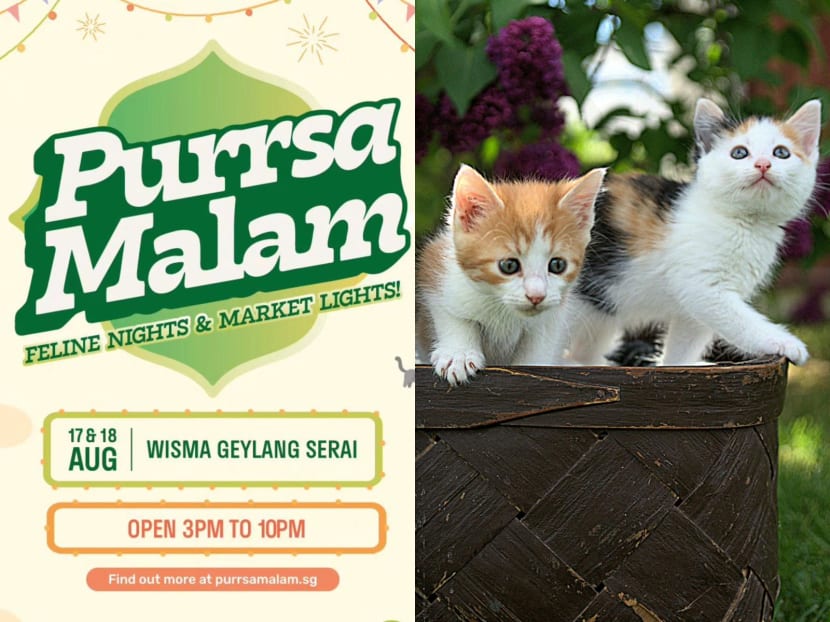 There's a cat-themed pasar malam at Geylang on Aug 17 and 18
