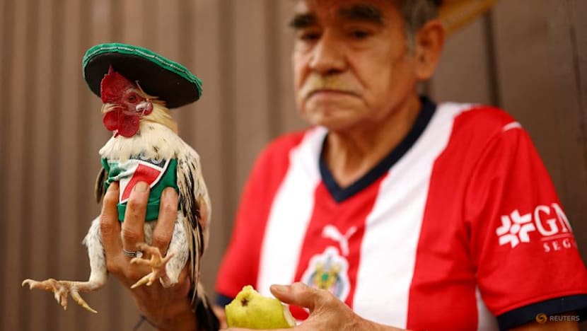 Mexico to open World Cup amid passion, parties and protests