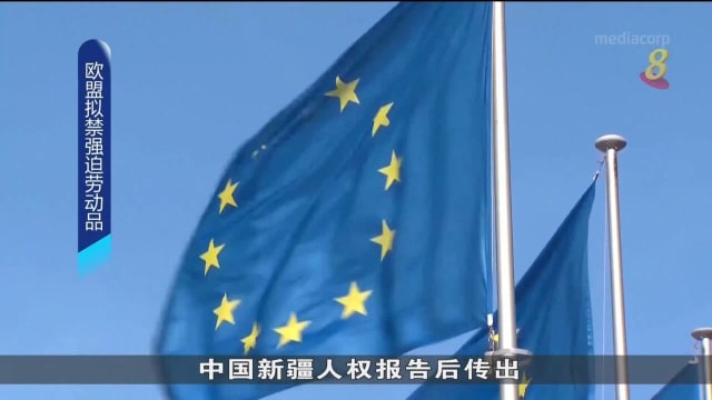 欧委会正草拟法案 禁止强迫劳动产品