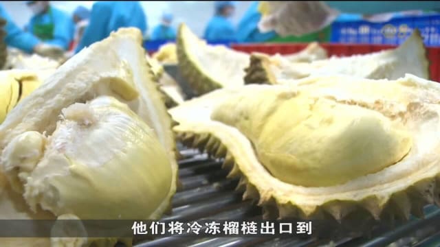 越南与中国签署冷冻榴梿检验及食品安全协议