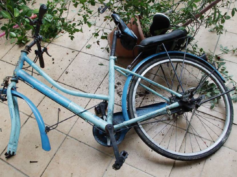 A bicycle thrown from the 14th floor of a public housing block in Bukit Batok landed on the second storey and damaged some pots. A bicycle thrown from the 14th floor of a public housing block in Bukit Batok landed on the second storey and damaged some pots.